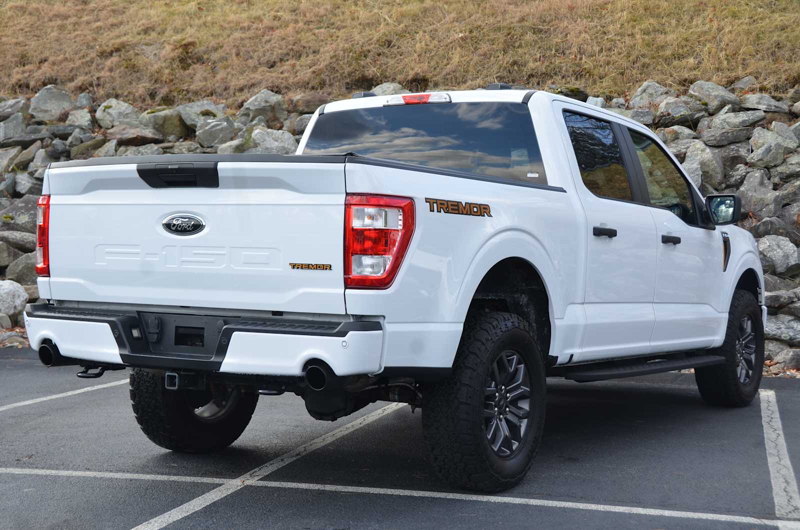 used 2022 Ford F-150 car, priced at $49,998