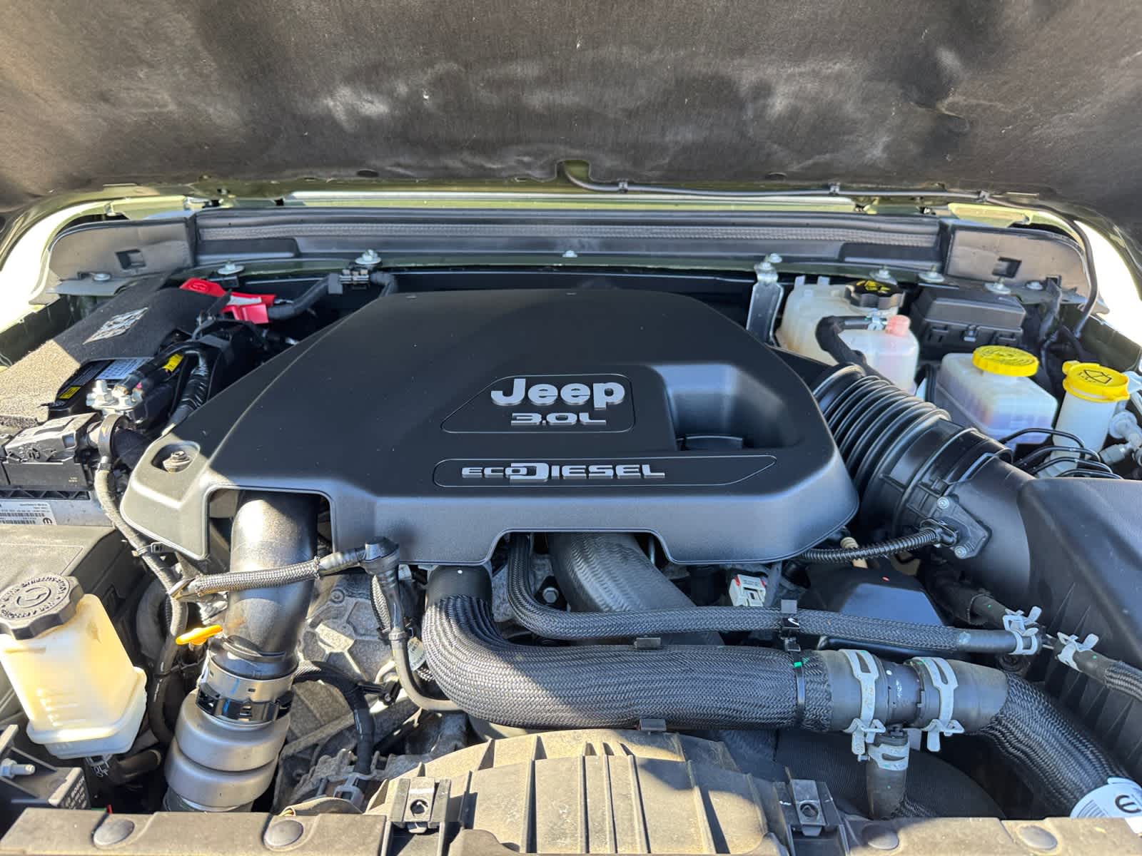 used 2021 Jeep Wrangler car, priced at $36,998