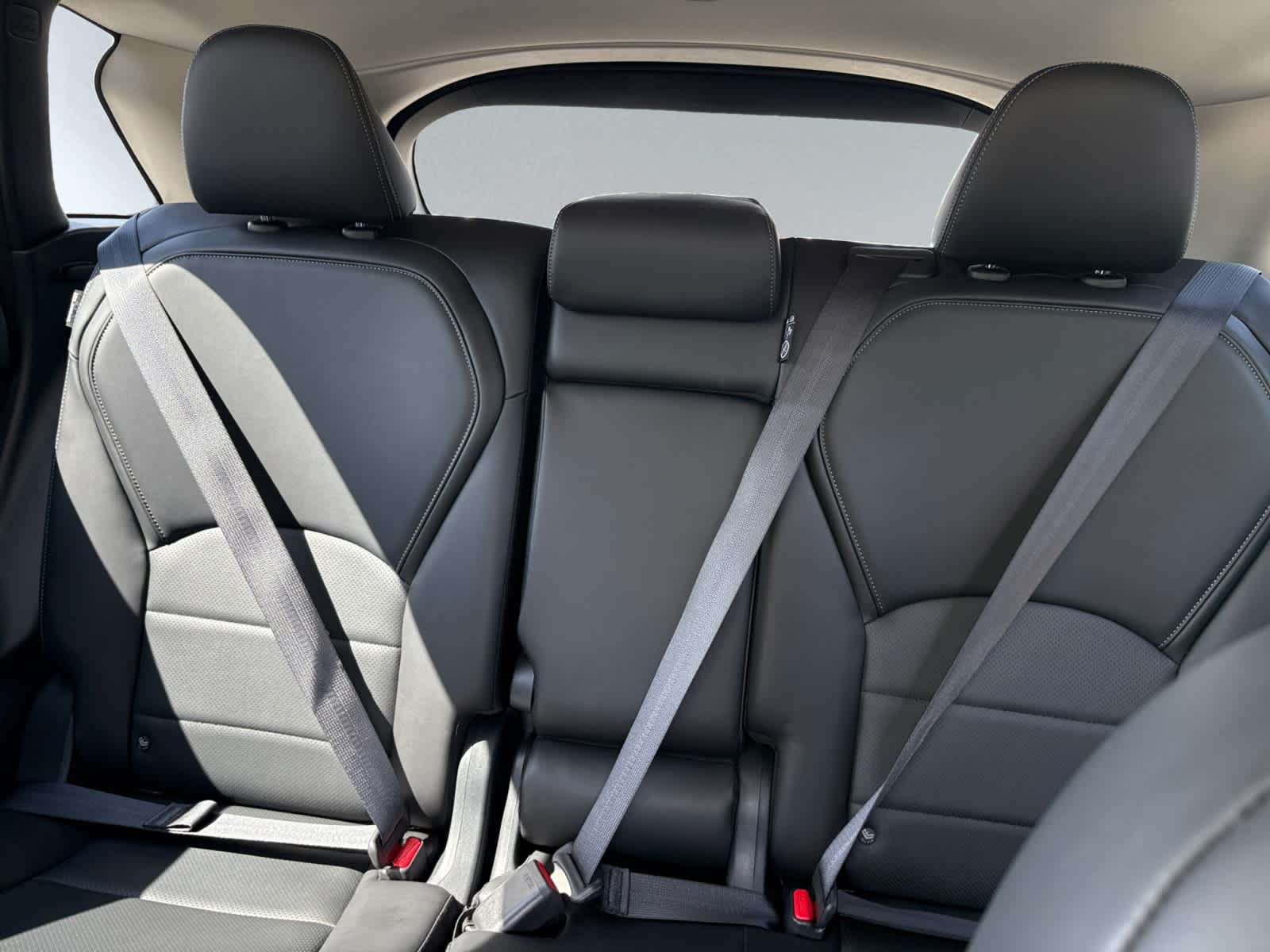 used 2025 INFINITI QX50 car