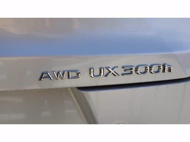 new 2025 Lexus UX 300h car