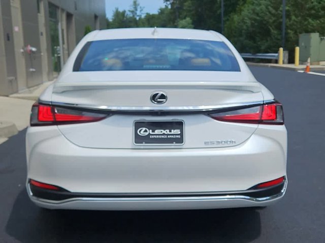 new 2024 Lexus ES 300h car