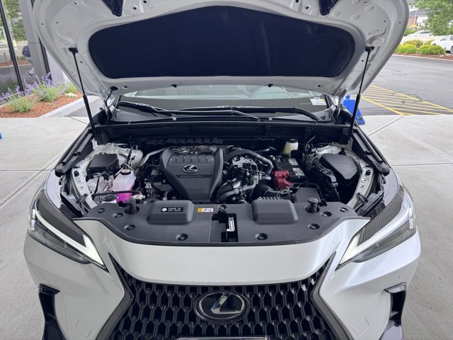 new 2025 Lexus NX 350 car