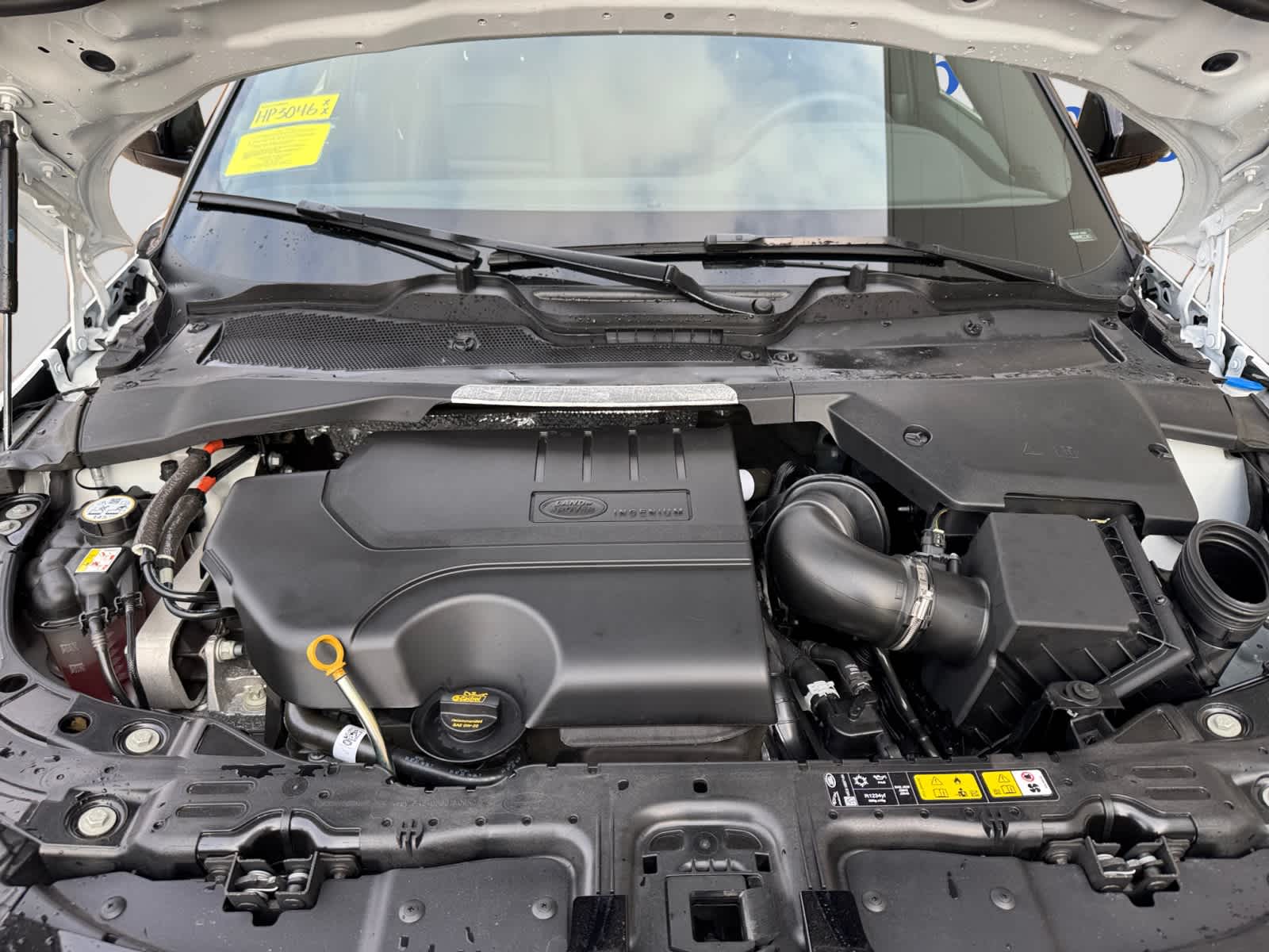 used 2024 Land Rover Range Rover Evoque car, priced at $43,998