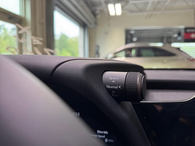 new 2025 Lexus UX 300h car