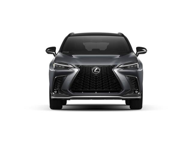 new 2025 Lexus NX car