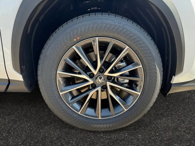 new 2025 Lexus NX 250 car