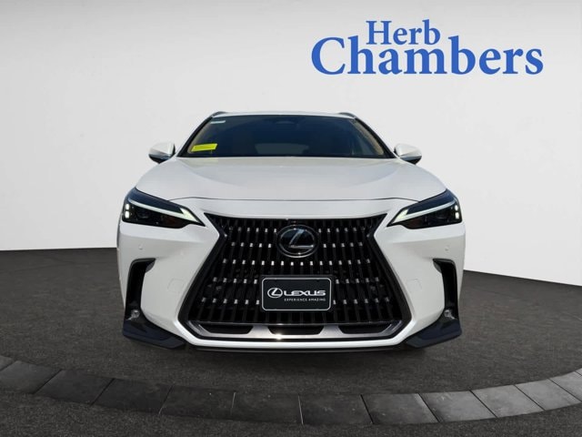 new 2025 Lexus NX 250 car