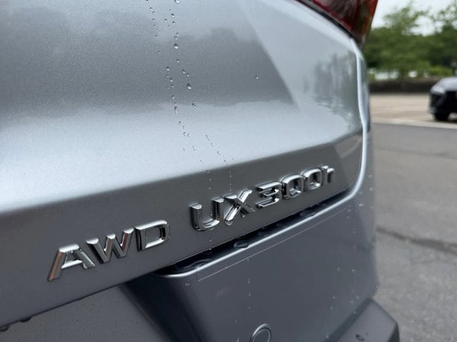 new 2025 Lexus UX 300h car