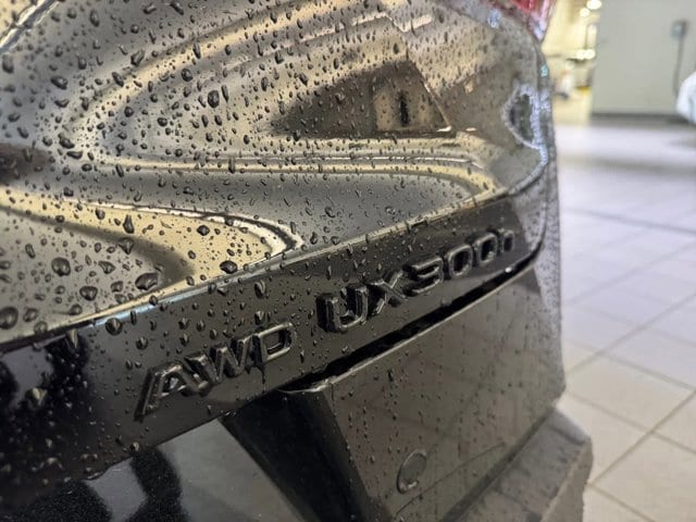 new 2025 Lexus UX 300h car