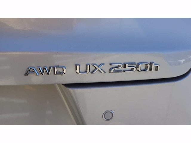 new 2024 Lexus UX 250h car