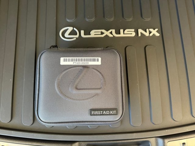 new 2025 Lexus NX 450h Plus car