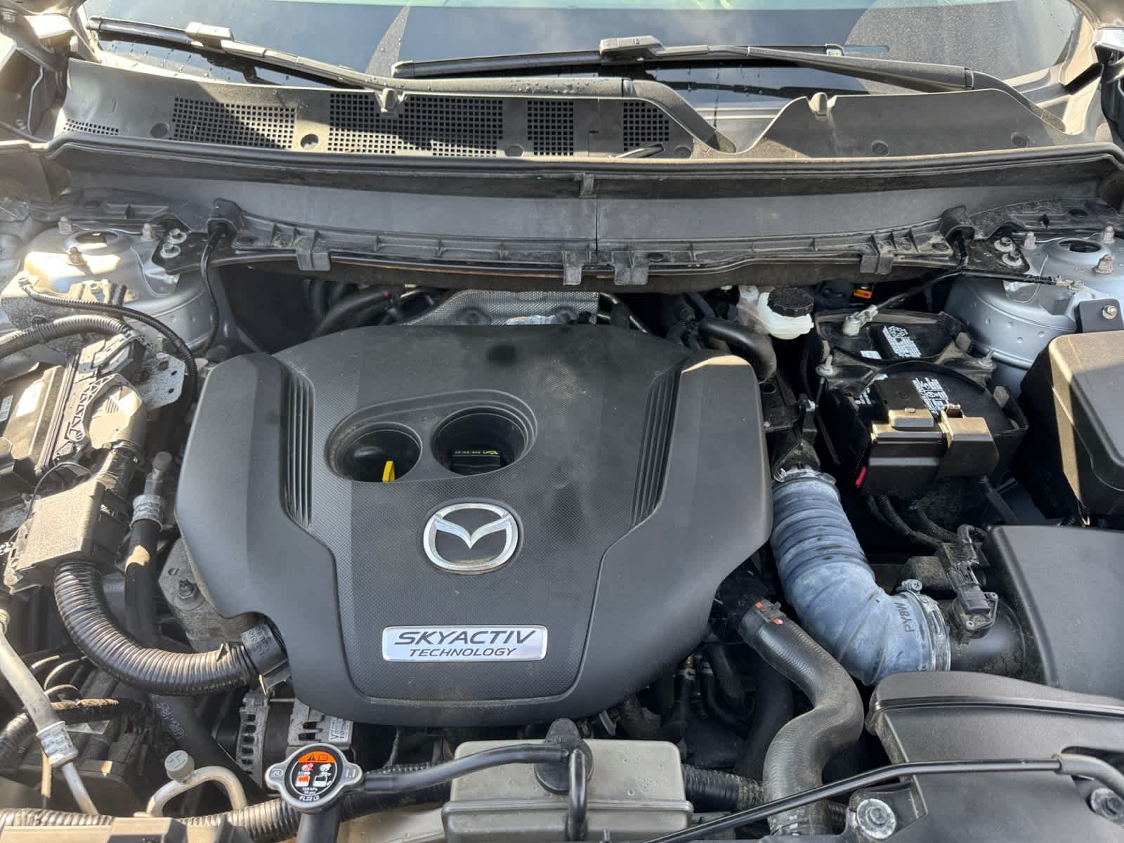 used 2019 Mazda CX-9 car, priced at $23,698