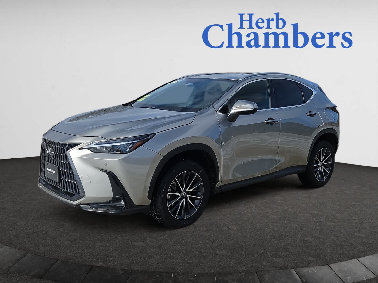 used 2024 Lexus NX car, priced at $45,998