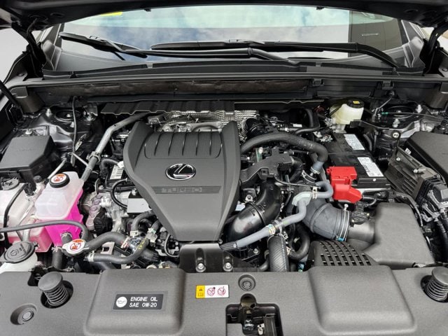 new 2025 Lexus NX 350 car