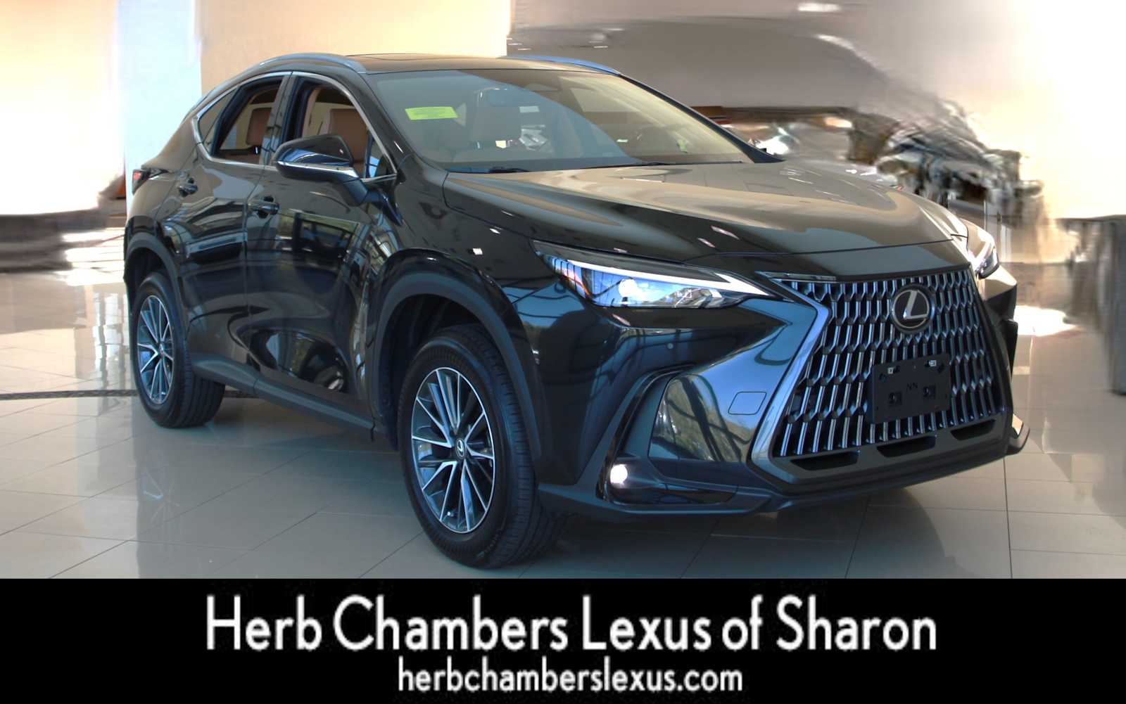 used 2025 Lexus NX 350 car, priced at $45,998