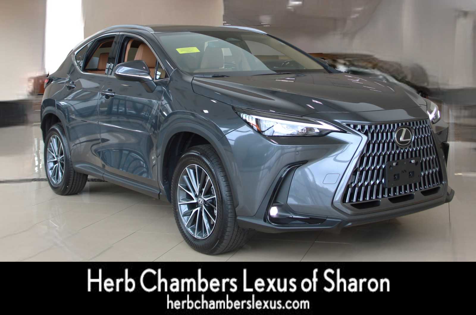 used 2025 Lexus NX 350 car, priced at $45,898