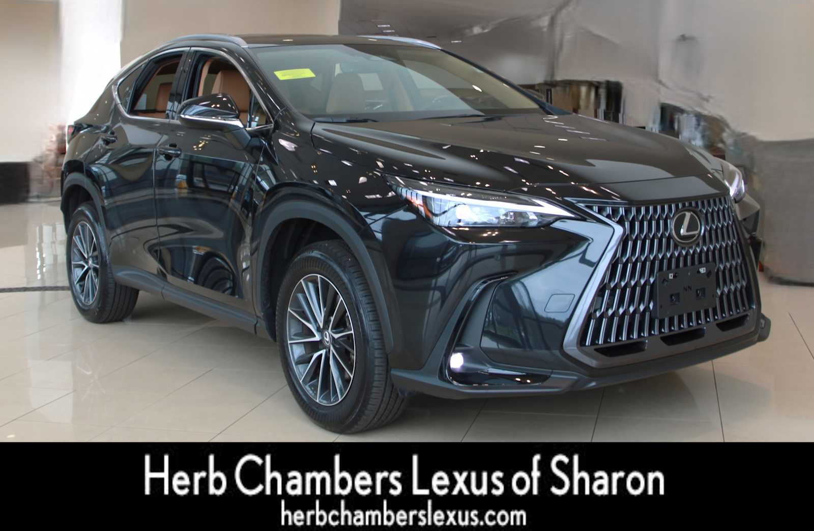 used 2025 Lexus NX 250 car, priced at $43,298
