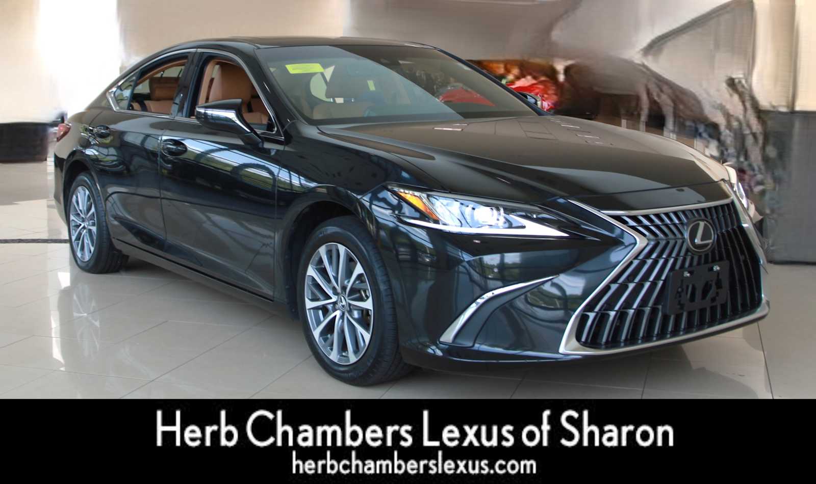 used 2022 Lexus ES 250 car, priced at $36,998