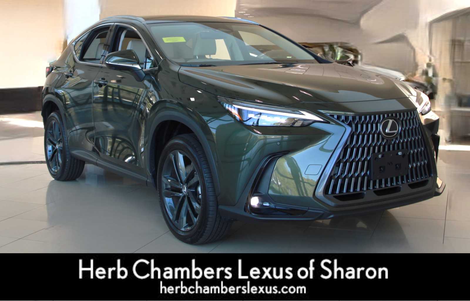 used 2025 Lexus NX 450h+ car, priced at $59,998
