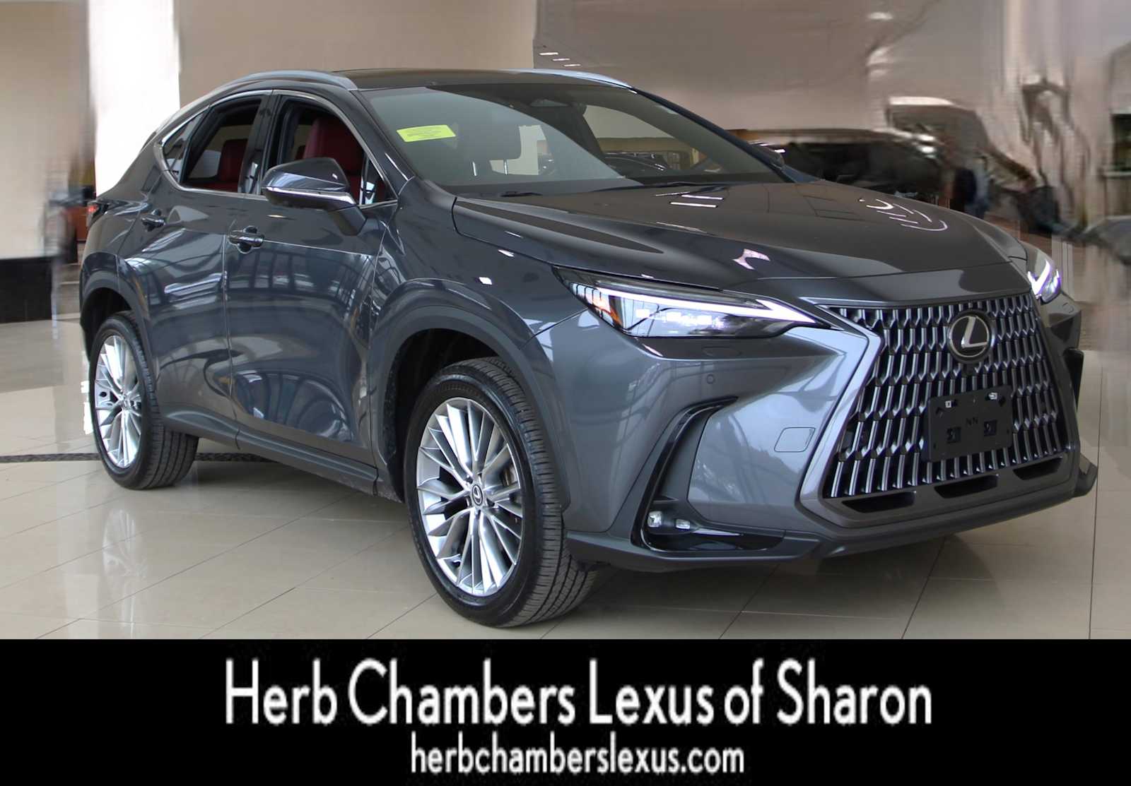 used 2024 Lexus NX 350 car, priced at $49,998