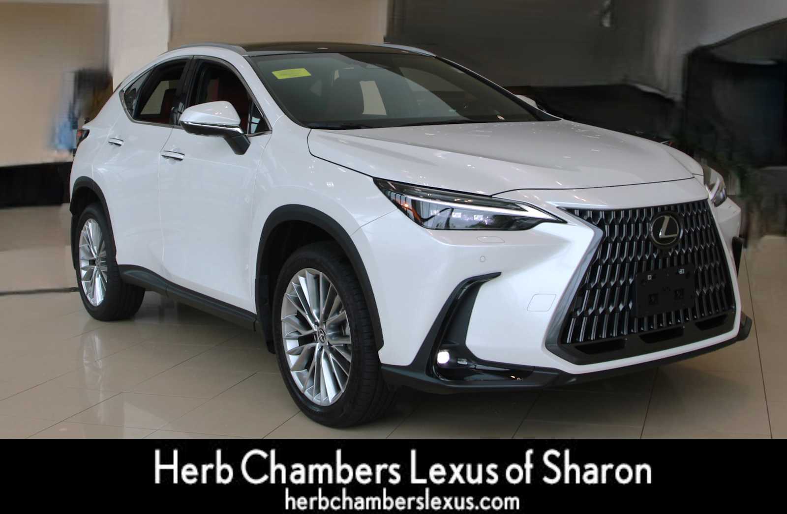 used 2024 Lexus NX 350 car, priced at $54,998