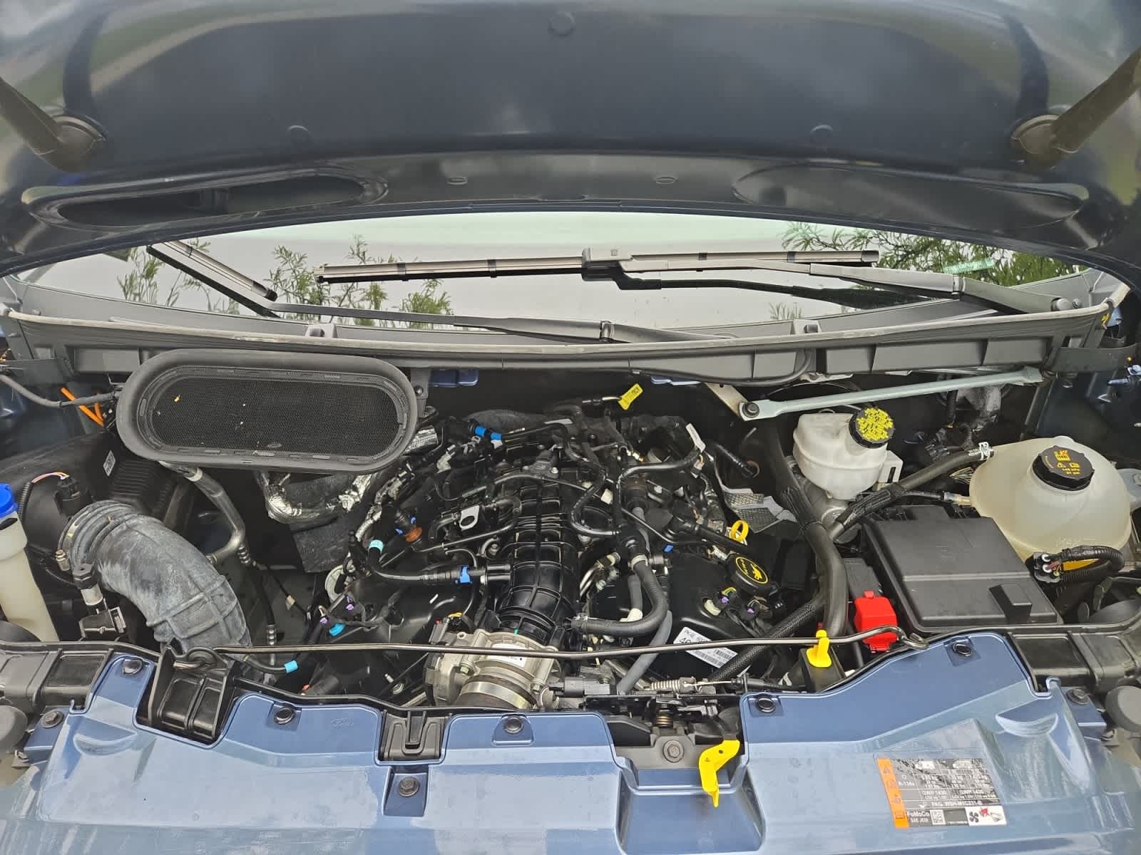 used 2023 Ford Transit car, priced at $51,998