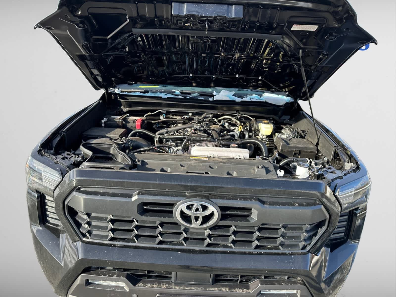 new 2025 Toyota Tacoma car, priced at $50,688