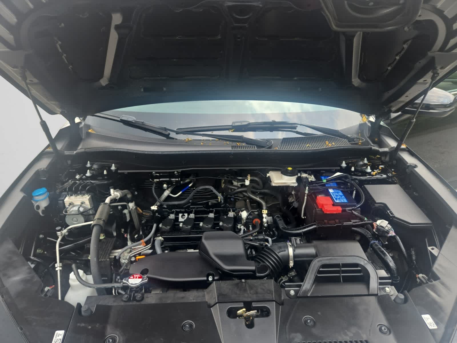 used 2025 Honda CR-V car, priced at $35,998