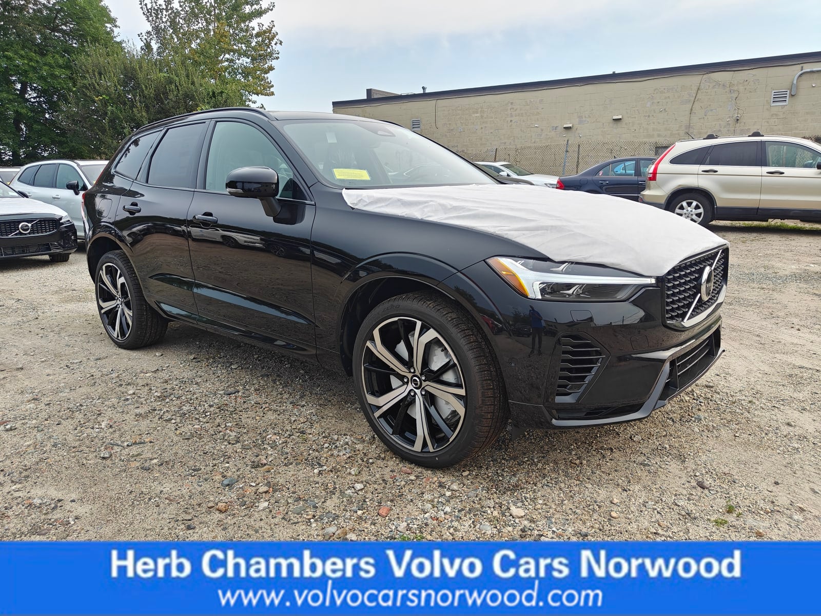 new 2024 Volvo XC60 Recharge Plug-In Hybrid car, priced at $71,565