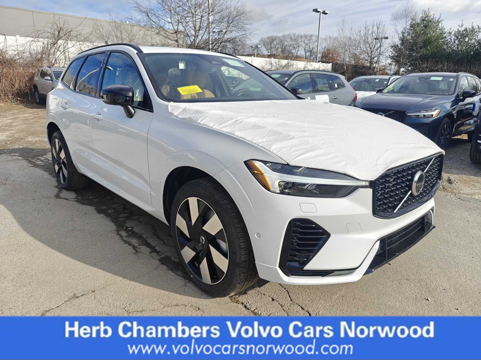 new 2024 Volvo XC60 Recharge Plug-In Hybrid car, priced at $70,765