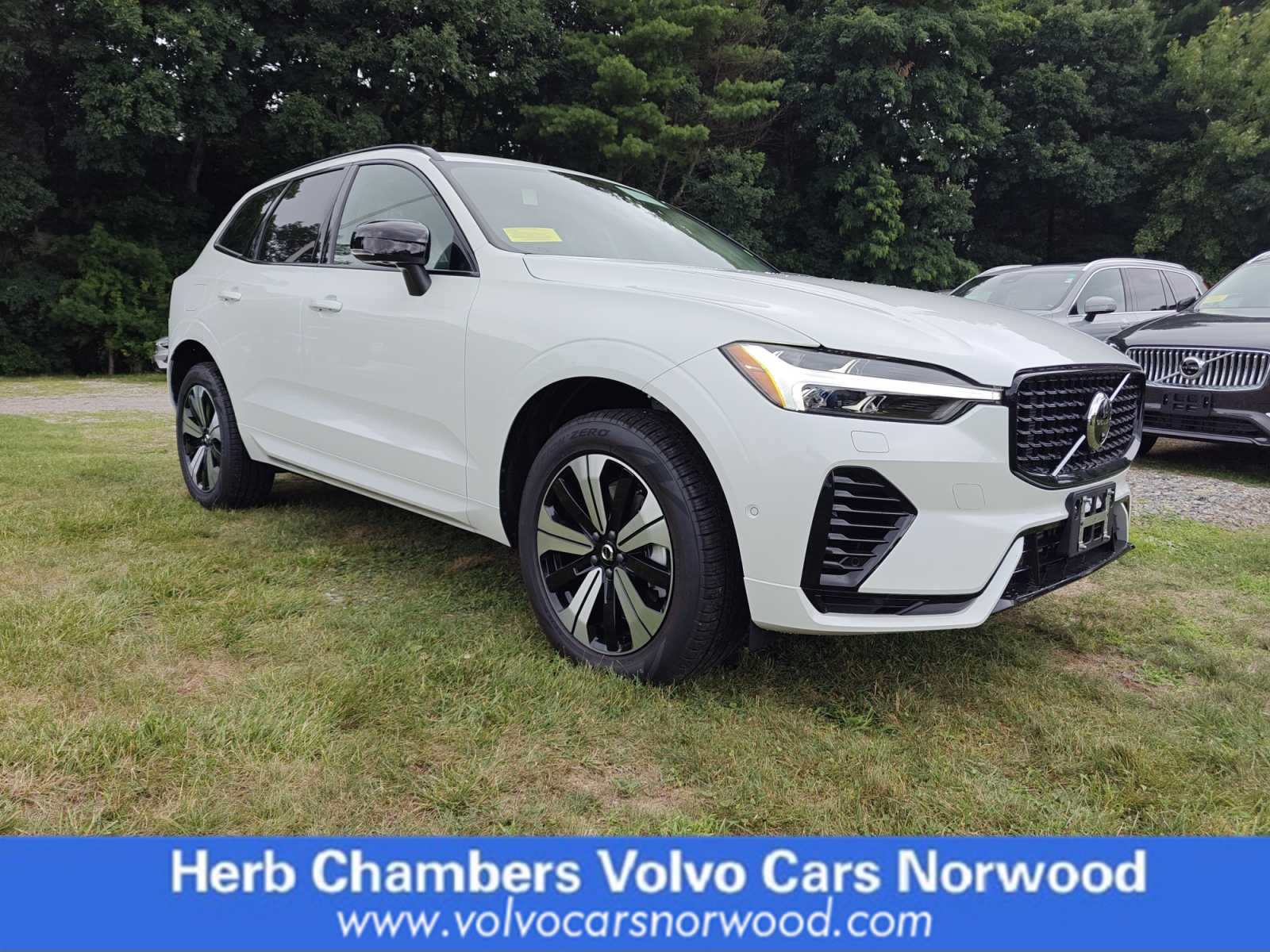 new 2025 Volvo XC60 plug-in hybrid car, priced at $65,825