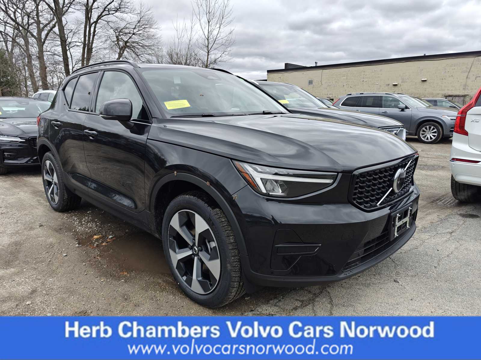 new 2024 Volvo XC40 car, priced at $46,280