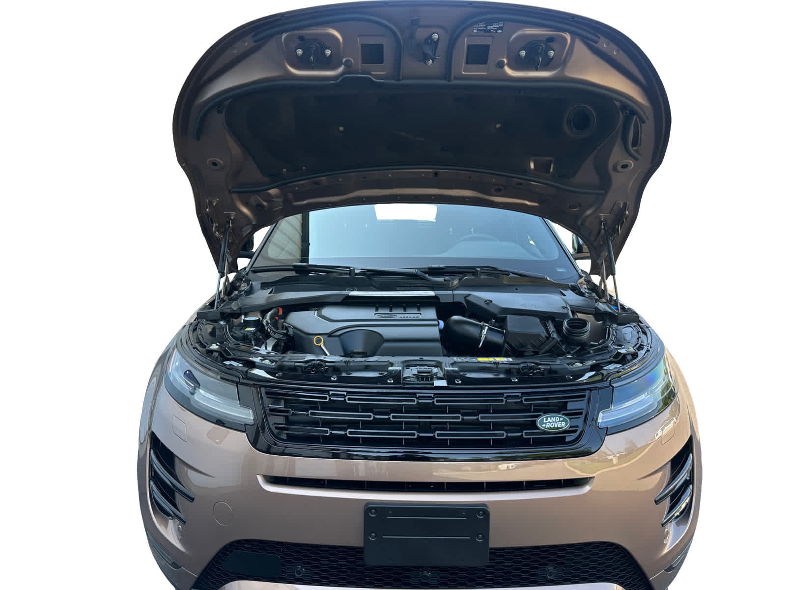 used 2025 Land Rover Range Rover Evoque car, priced at $49,998