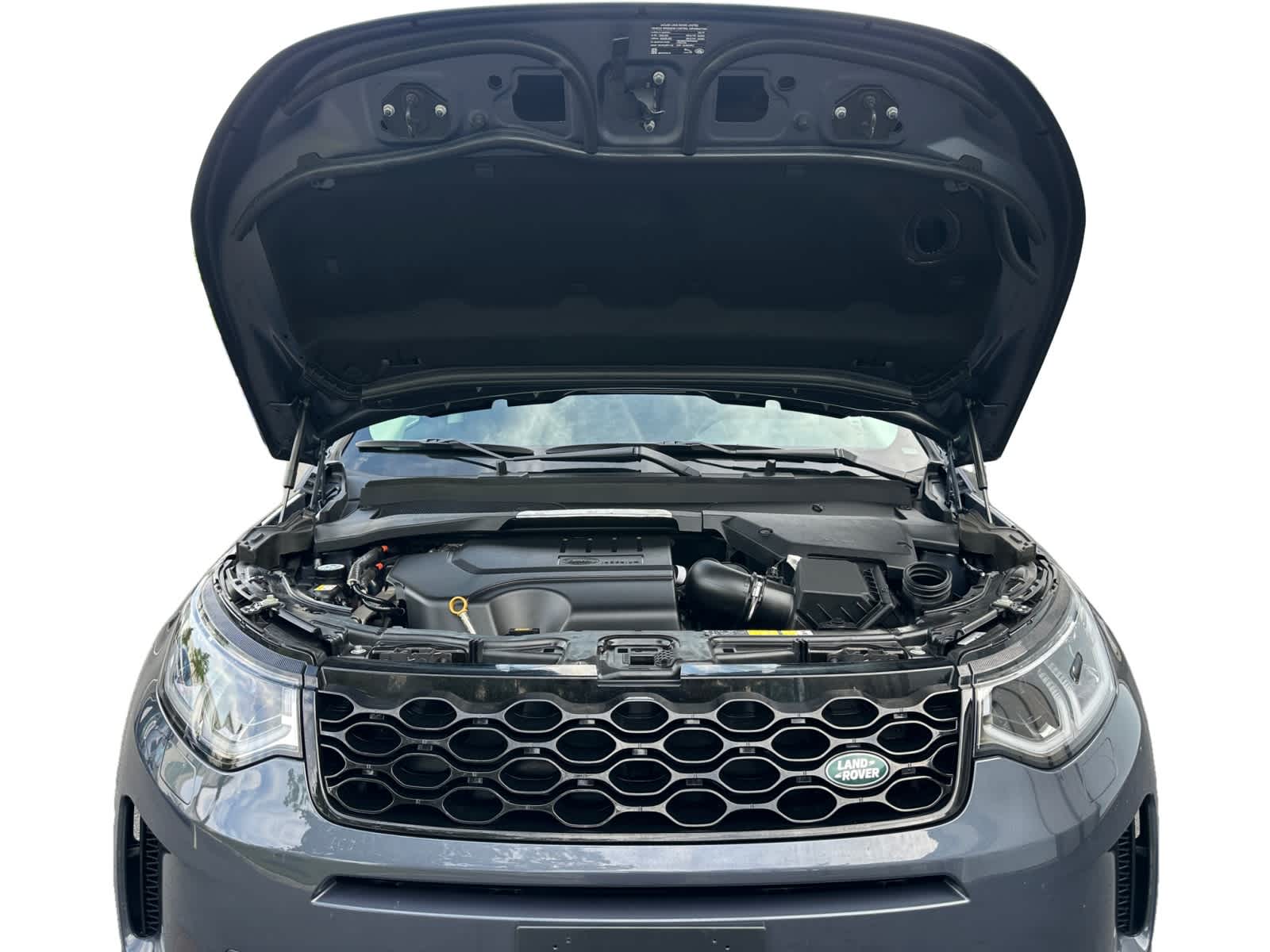 used 2025 Land Rover Discovery Sport car, priced at $44,998