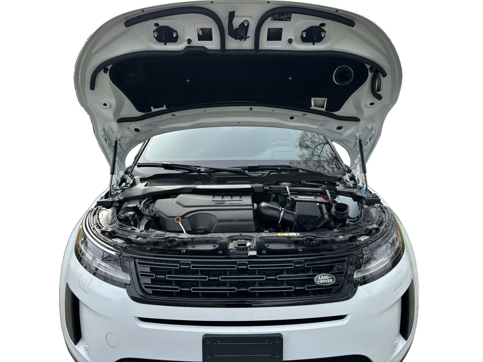 used 2024 Land Rover Range Rover Evoque car, priced at $42,998