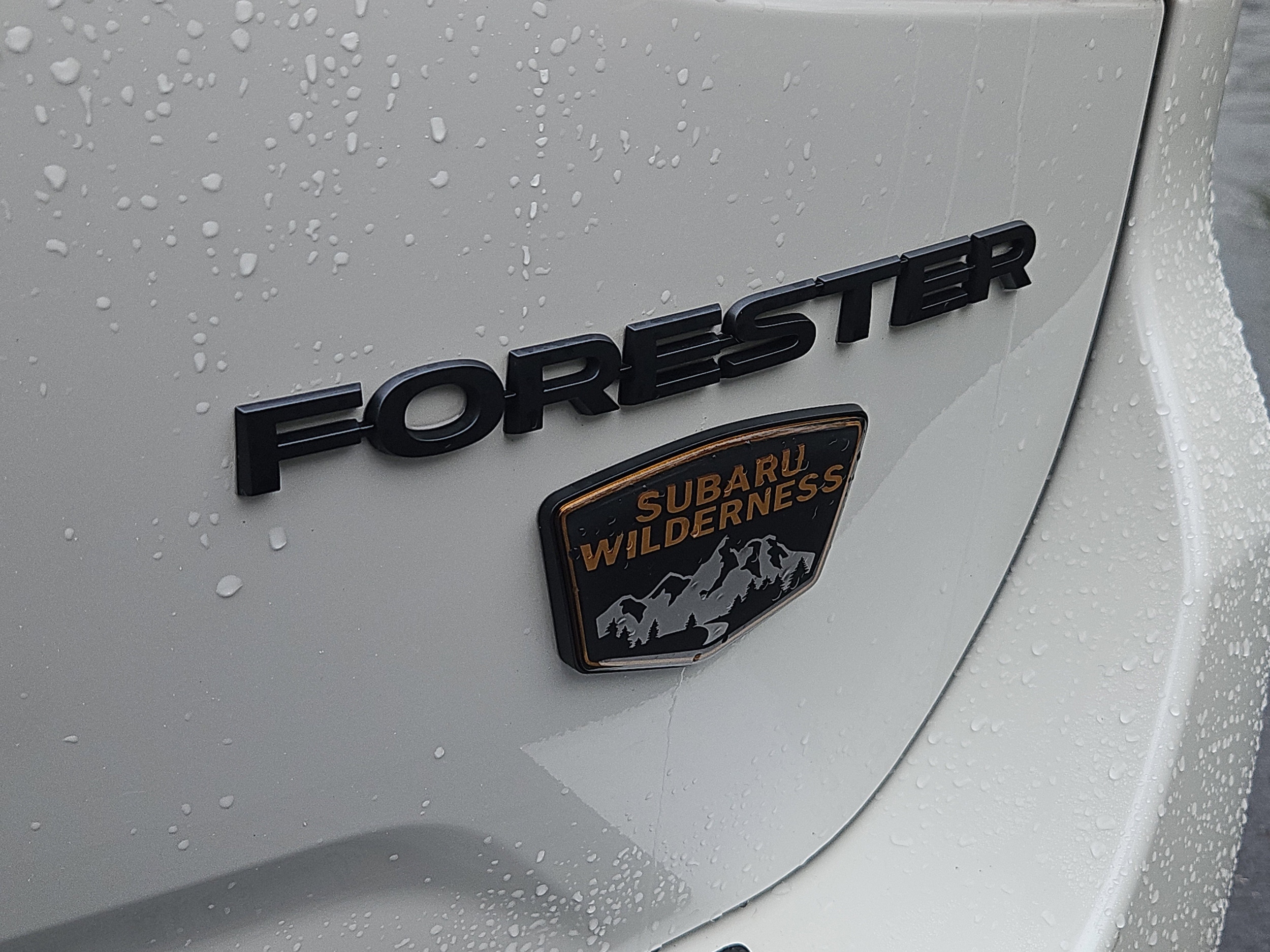used 2023 Subaru Forester car, priced at $31,209