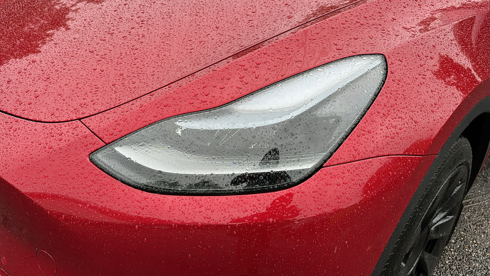 used 2021 Tesla Model Y car, priced at $25,905