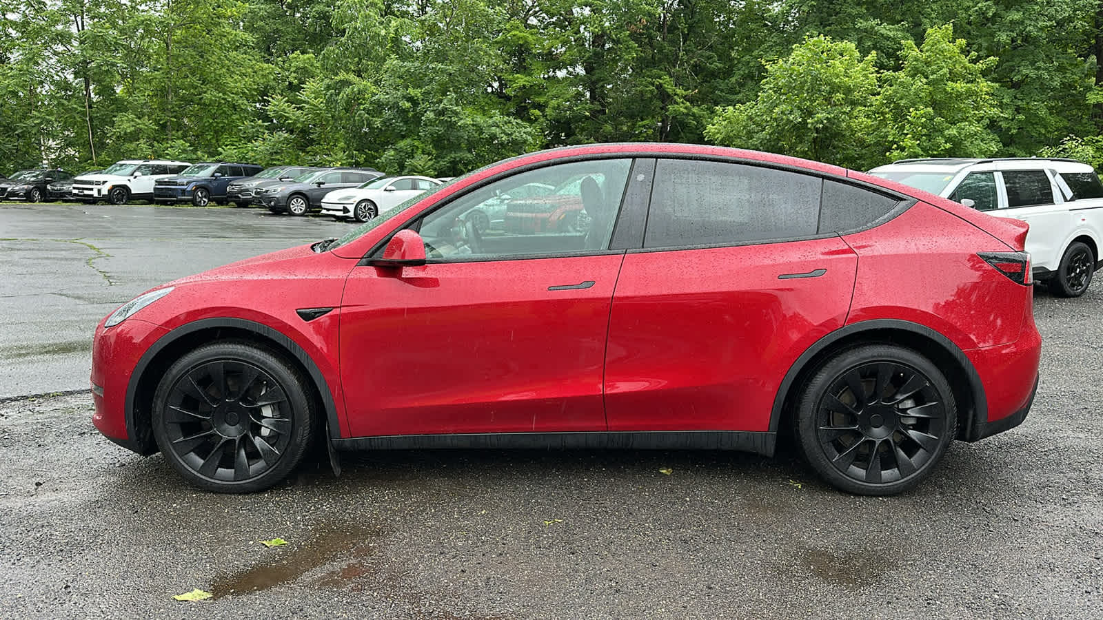 used 2021 Tesla Model Y car, priced at $25,905