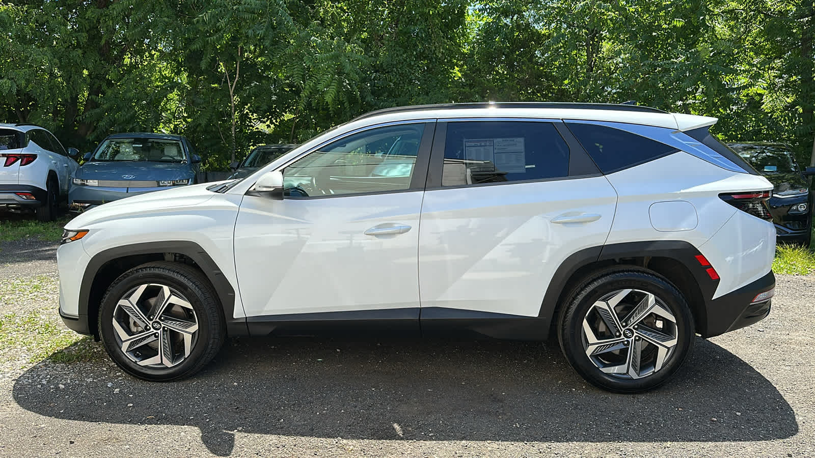 used 2022 Hyundai Tucson Hybrid car, priced at $18,807