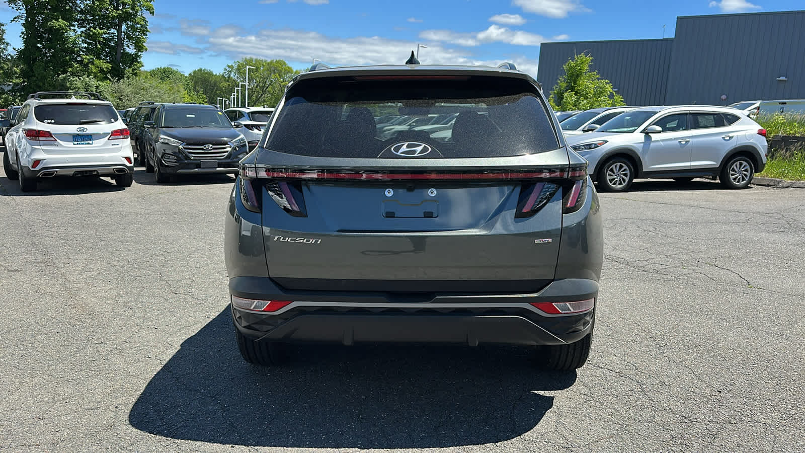 used 2023 Hyundai Tucson car, priced at $22,807