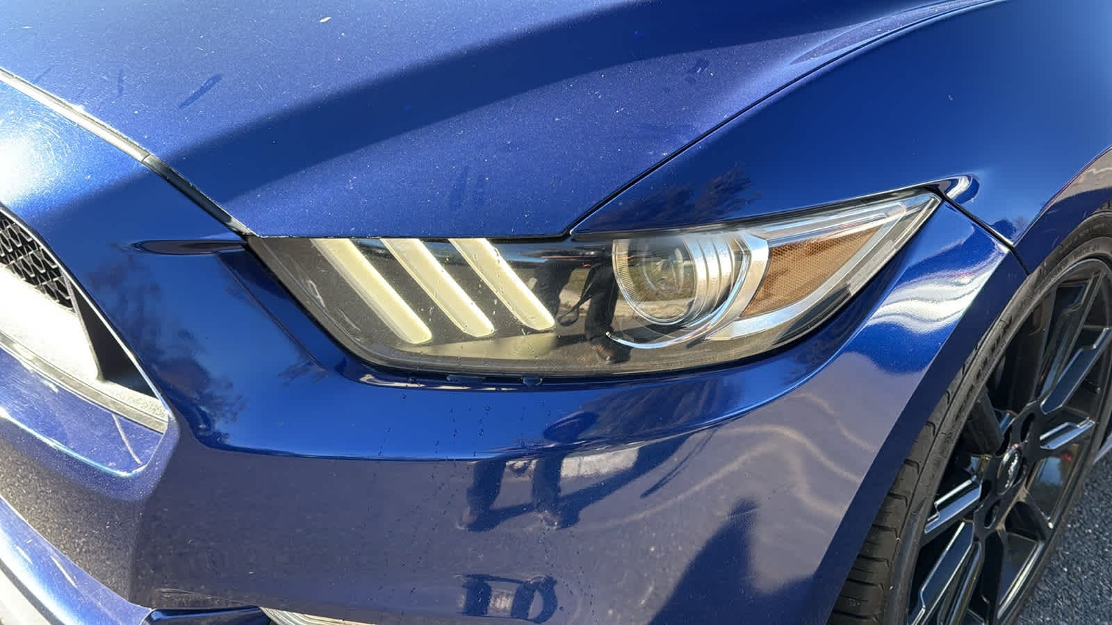 used 2016 Ford Mustang car, priced at $20,909