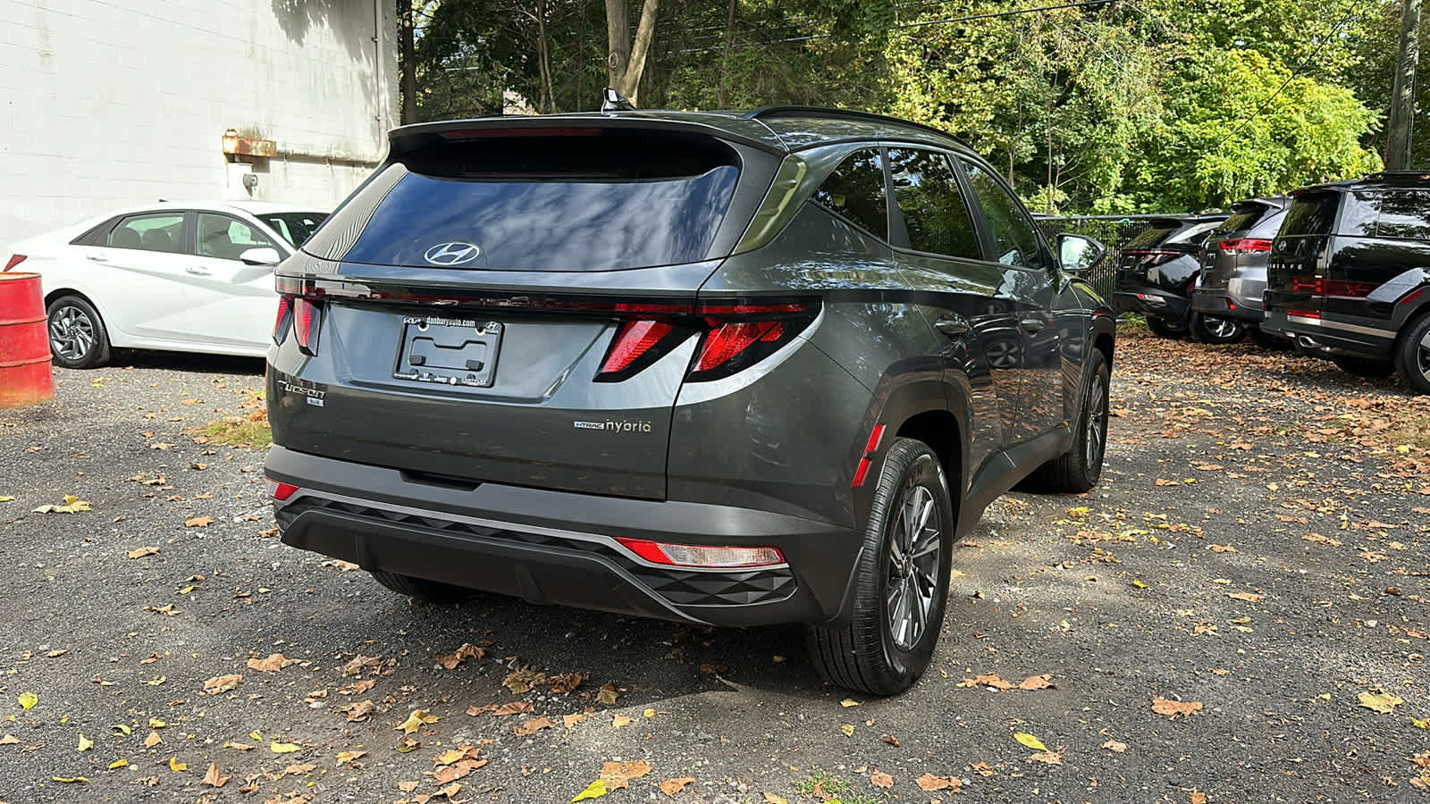 used 2024 Hyundai Tucson Hybrid car, priced at $31,611