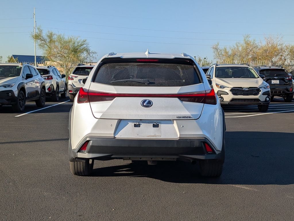 used 2021 Lexus UX 250h car