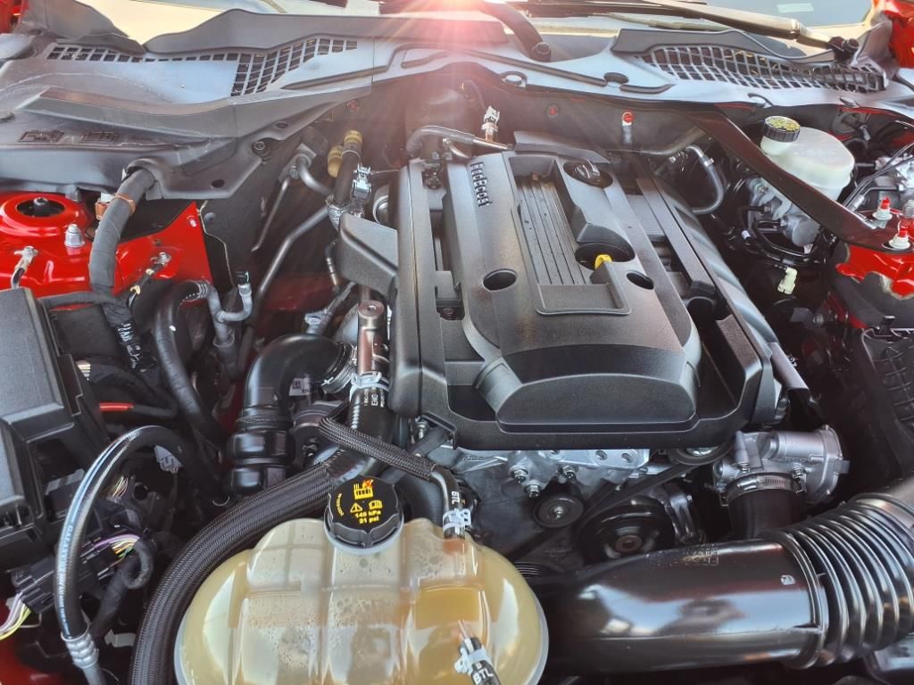 used 2016 Ford Mustang Ecoboost car, priced at $18,000