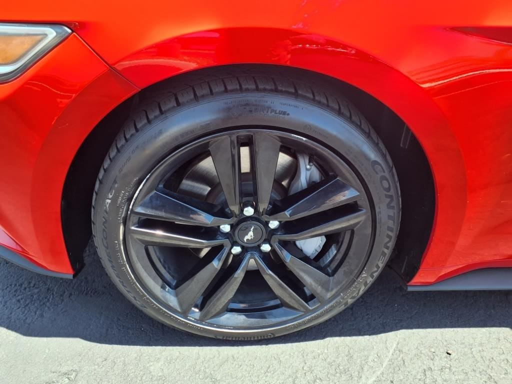 used 2016 Ford Mustang Ecoboost car, priced at $18,000